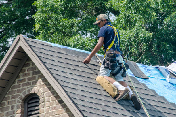 Best Metal Roofing Contractor  in Hancock, MI